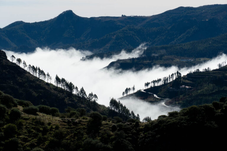 Programa de actividades La vinca 2025